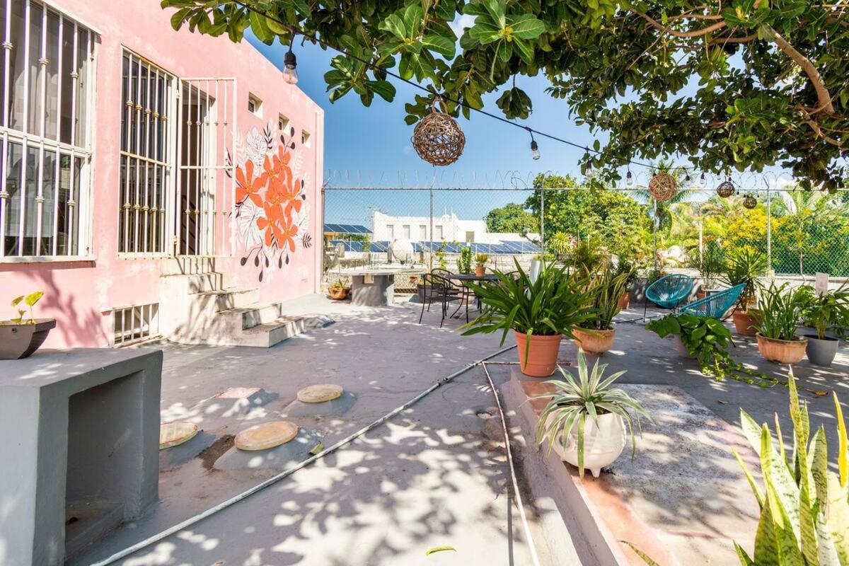 Carlota Guest House 科苏梅尔 外观 照片